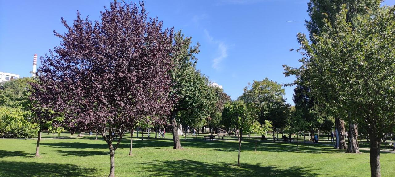 Aurelia'S Comfy Place With Free Parking Zagreb Buitenkant foto